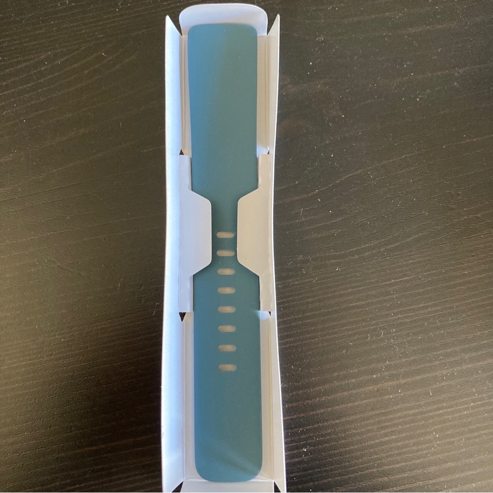 Fitbit Charge 5 Steel Blue Band - Size Large